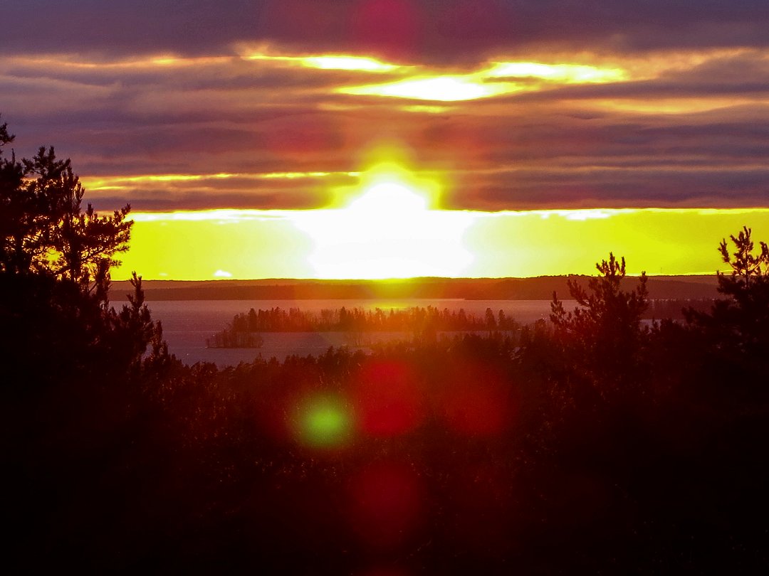 Rösaringsåsens naturreservat, Bro - november 2023 solen i mitten